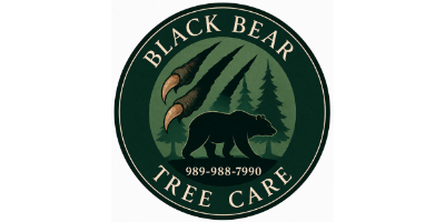 Black Bear Tree Care